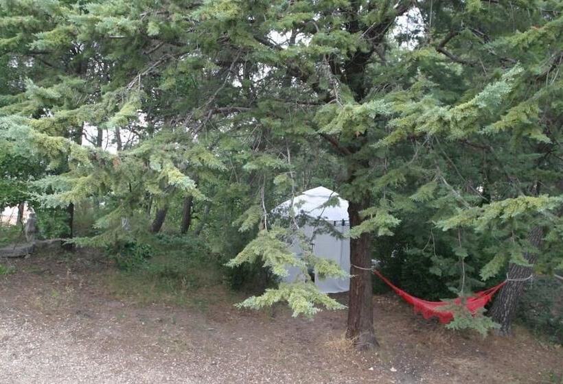 ベッドアンドブレックファースト Le Laou