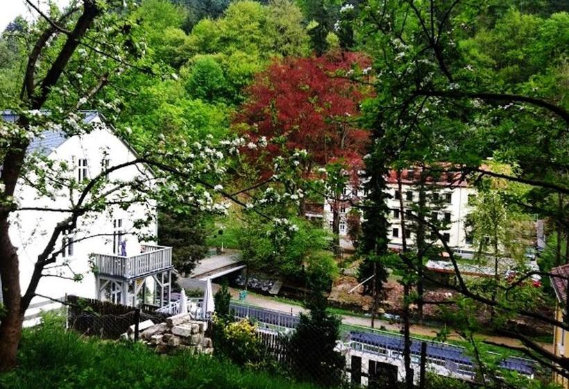 Cosy Apartment In Bad Schandau 50 M² With Internet