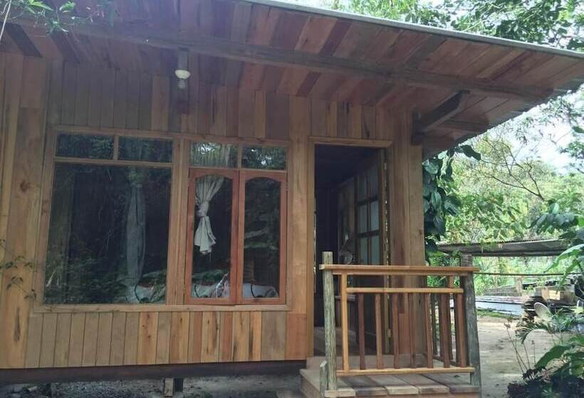 ユースホステル La Casa De Cecilia Mindo