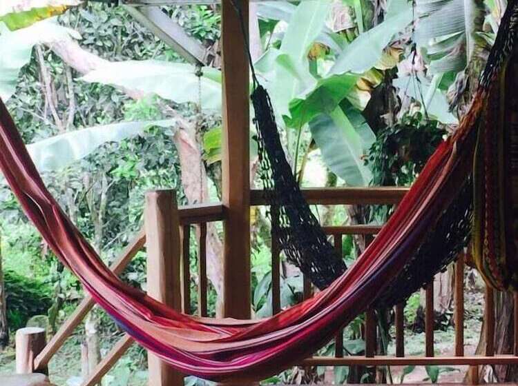 ユースホステル La Casa De Cecilia Mindo