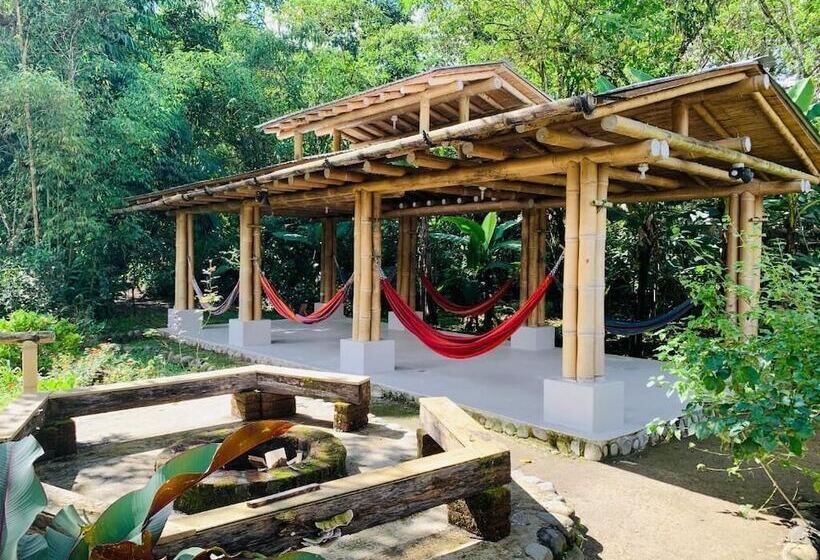 ユースホステル La Casa De Cecilia Mindo