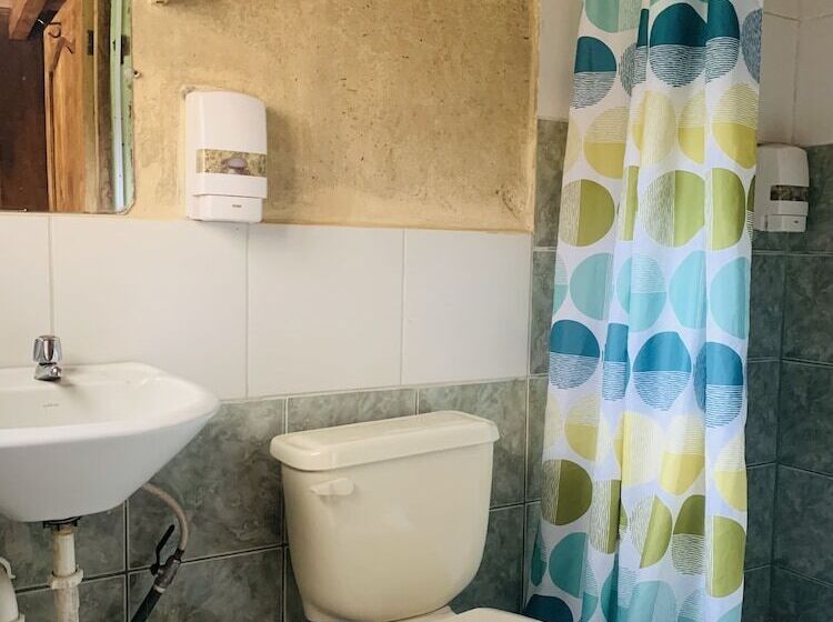 ユースホステル La Casa De Cecilia Mindo