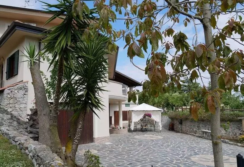 B & B Korello