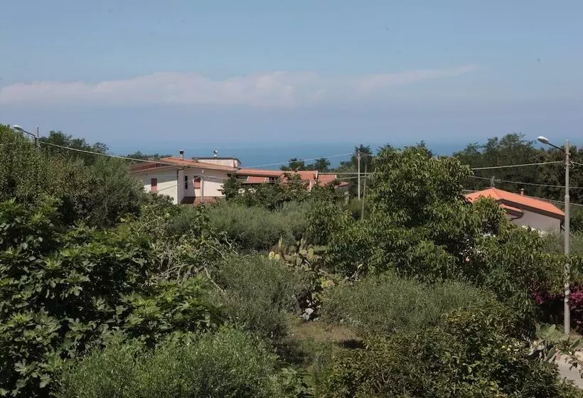 B & B Korello