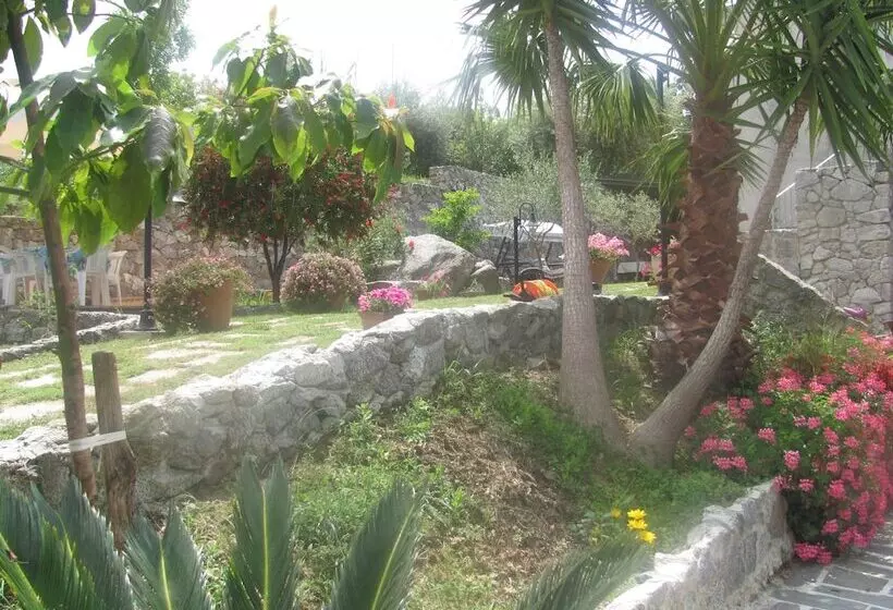 B & B Korello