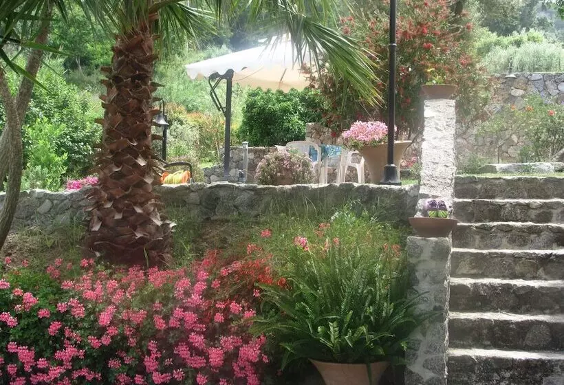 B & B Korello