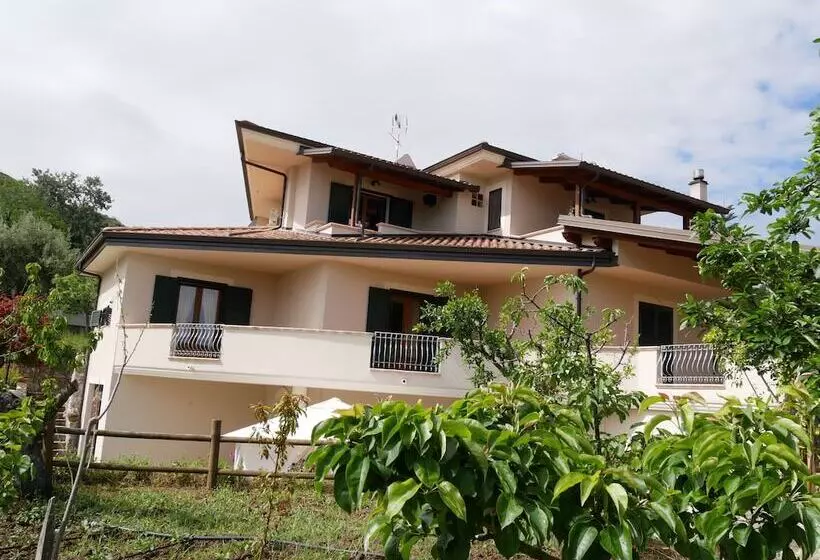 B & B Korello