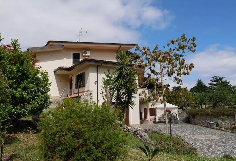 B & B Korello