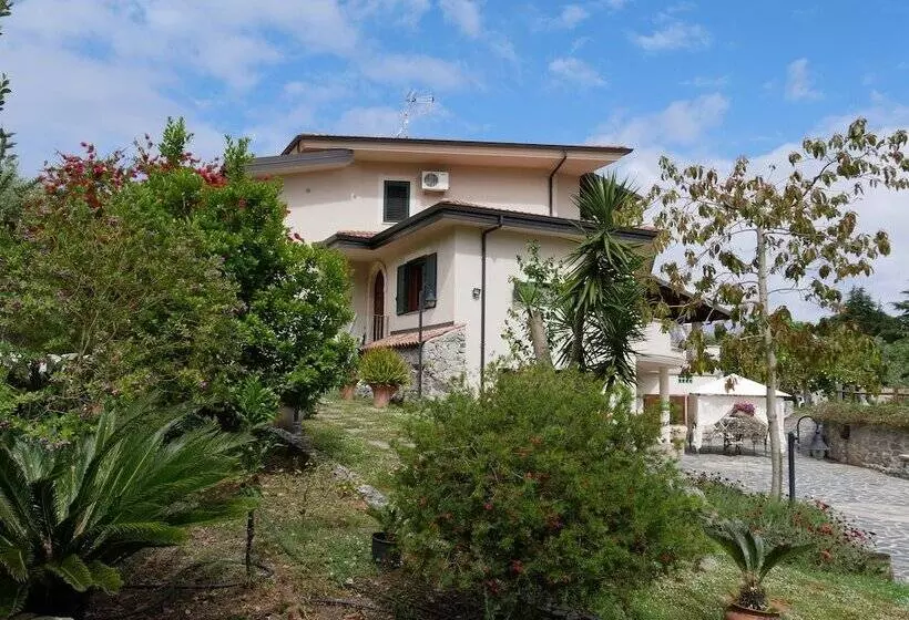 B & B Korello