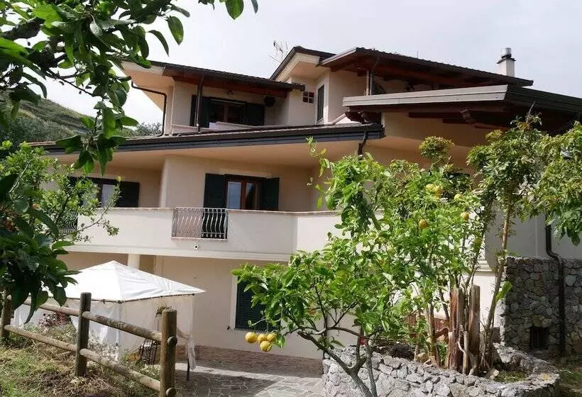 B & B Korello