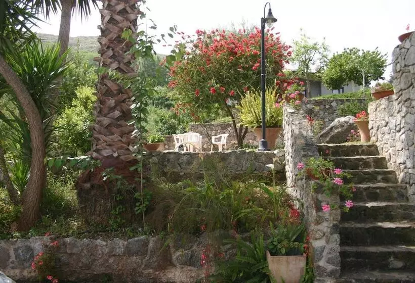 B & B Korello