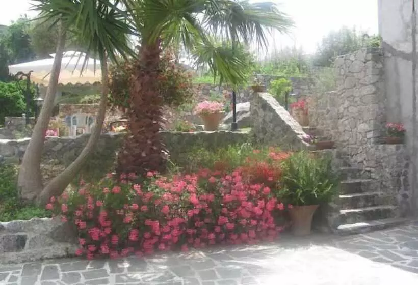 B & B Korello