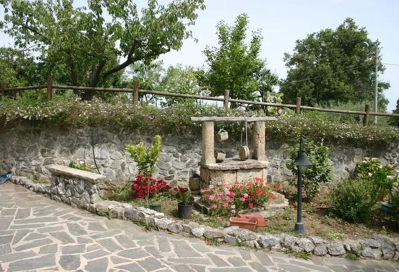 B & B Korello