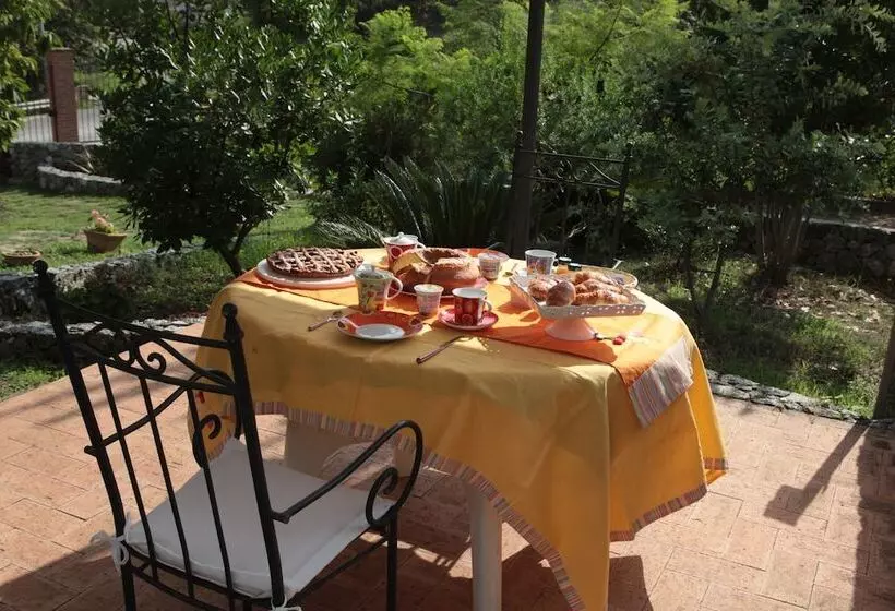 B & B Korello