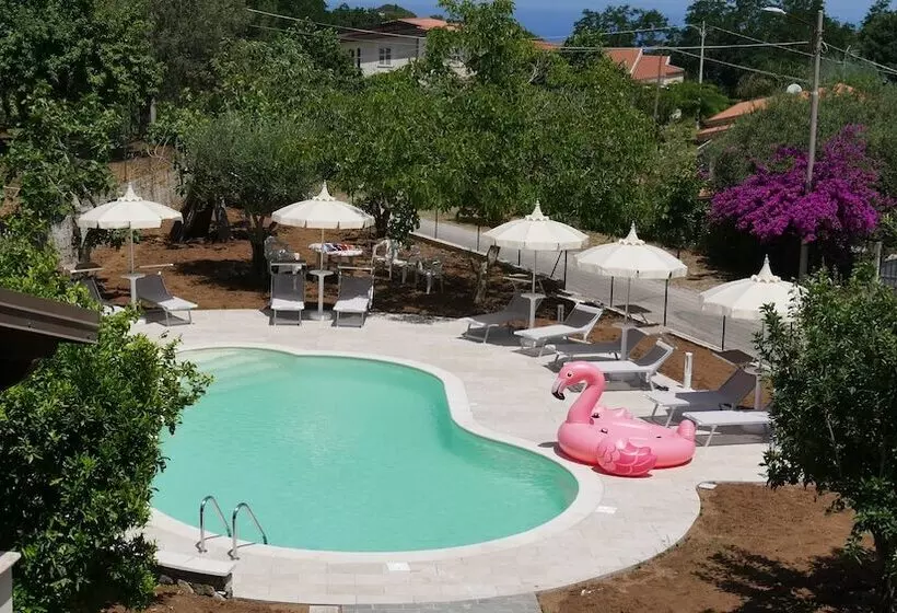 B & B Korello
