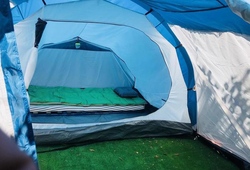 酒店 Bracara Hostel