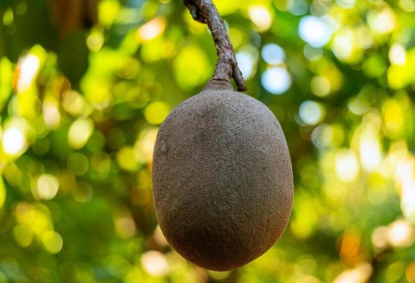 هتل Brisas La Gaviota Mariquit Tolima