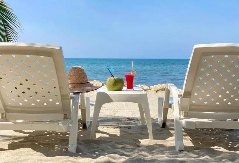ホテル Costa Linda