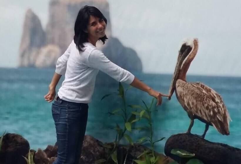 Hotel Hostal Perla Real Inn