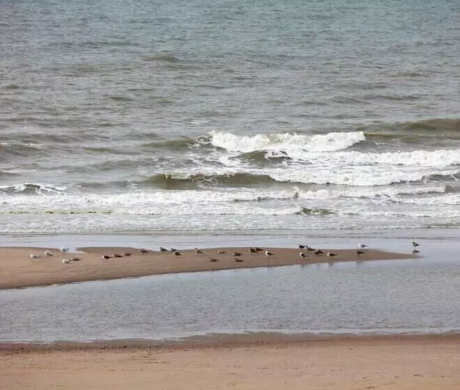 هتل Les Mouettes