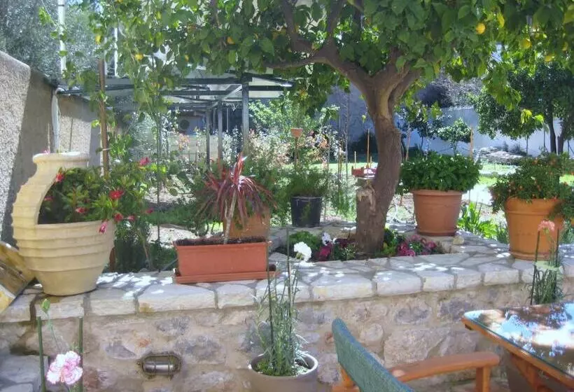 Hôtel Nostos