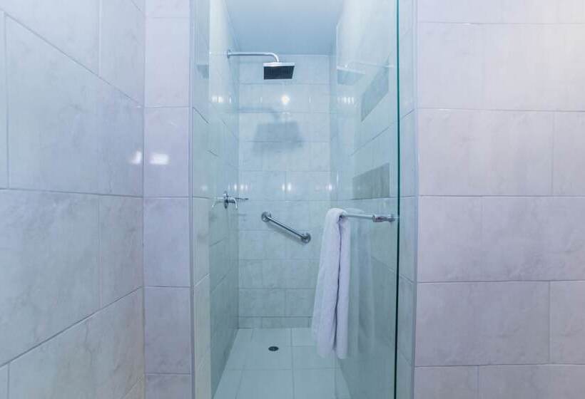 בית מלון כפרי Plaza 36