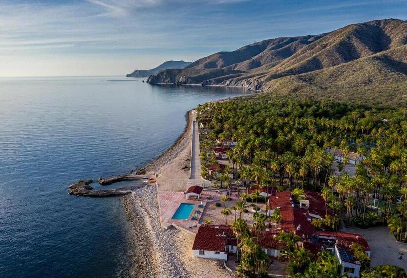 ホテル Rancho Las Cruces