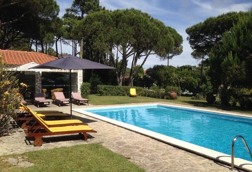 هتل Solar Do Magoito