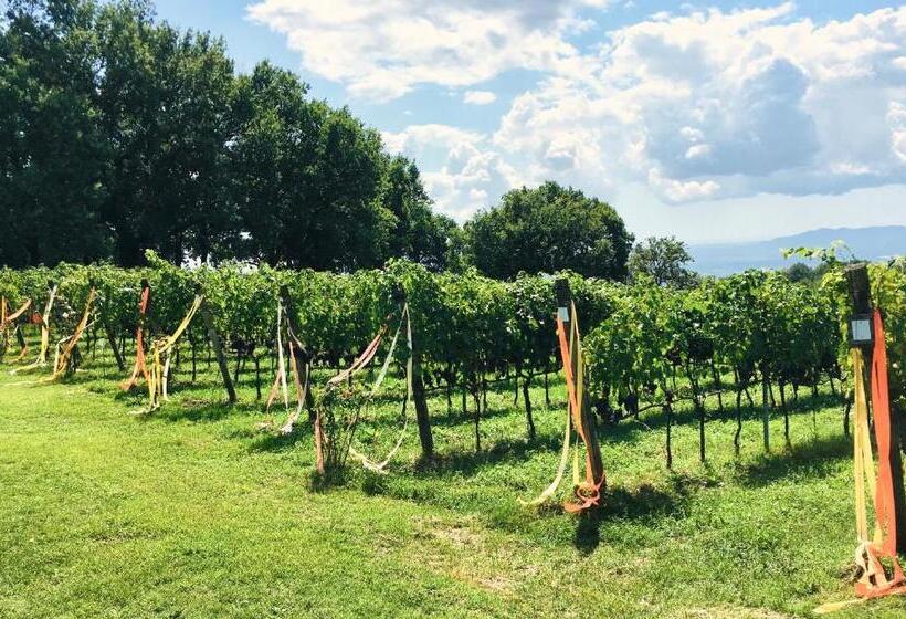 Отель Valdonica Winery Fine Dine & Wine