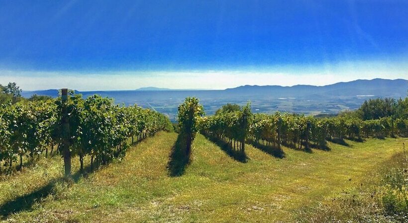 Отель Valdonica Winery Fine Dine & Wine