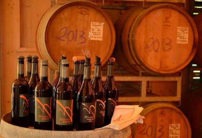 Отель Valdonica Winery Fine Dine & Wine