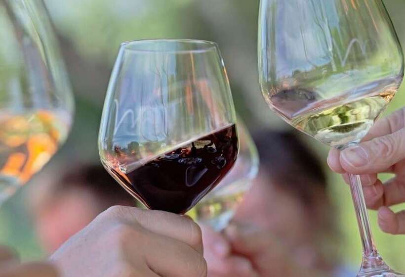 Отель Valdonica Winery Fine Dine & Wine