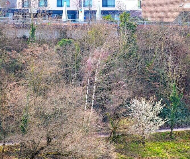 Motel Rheinfels Park