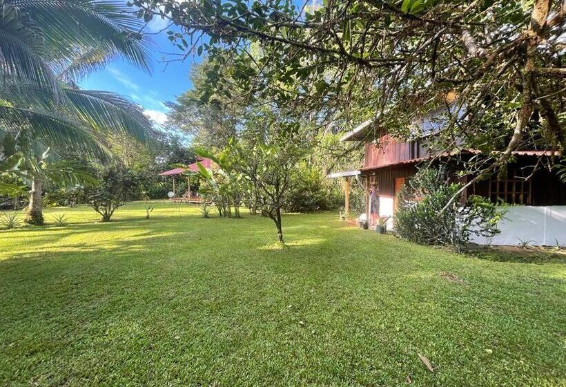 ユースホステル Corcovado Guest House