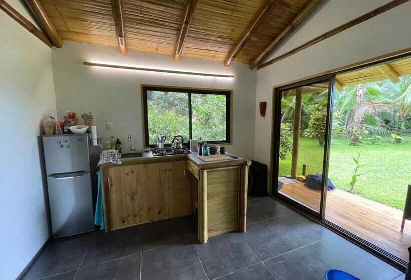 ユースホステル Corcovado Guest House