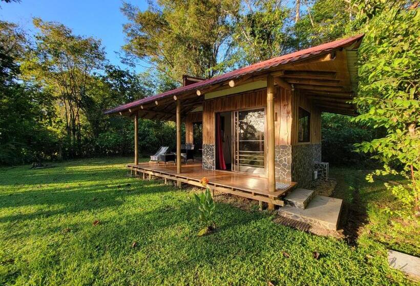 ユースホステル Corcovado Guest House