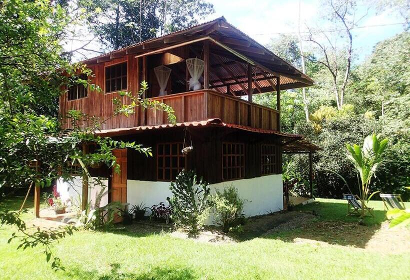 ユースホステル Corcovado Guest House