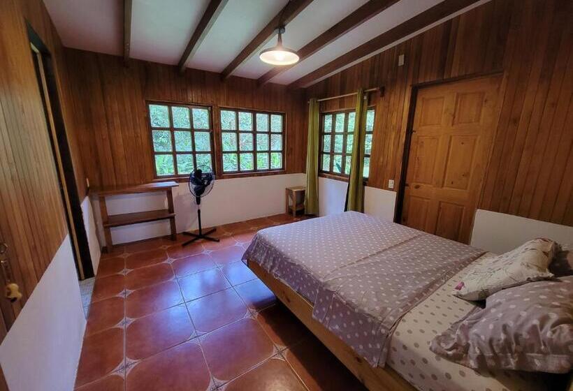 ユースホステル Corcovado Guest House