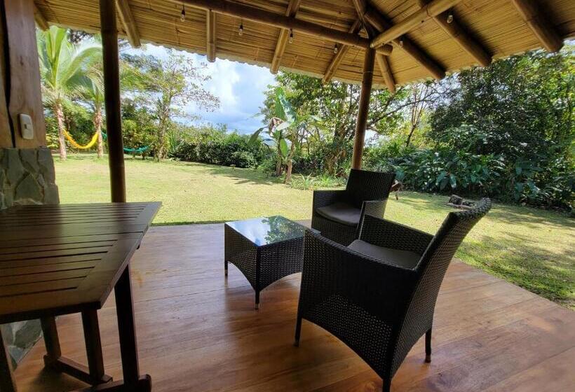 ユースホステル Corcovado Guest House