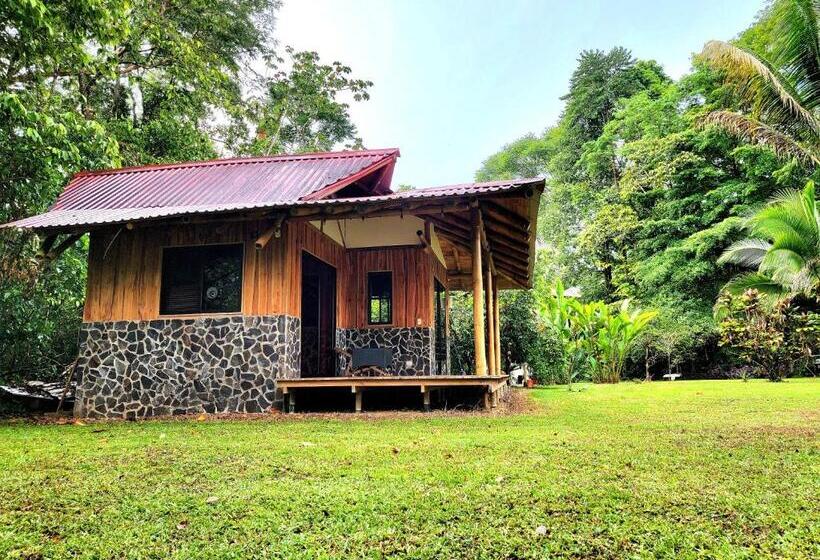 ユースホステル Corcovado Guest House