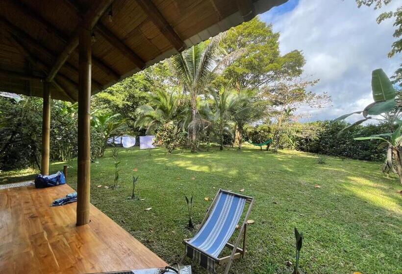 ユースホステル Corcovado Guest House