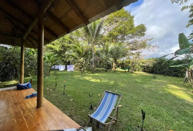 ユースホステル Corcovado Guest House