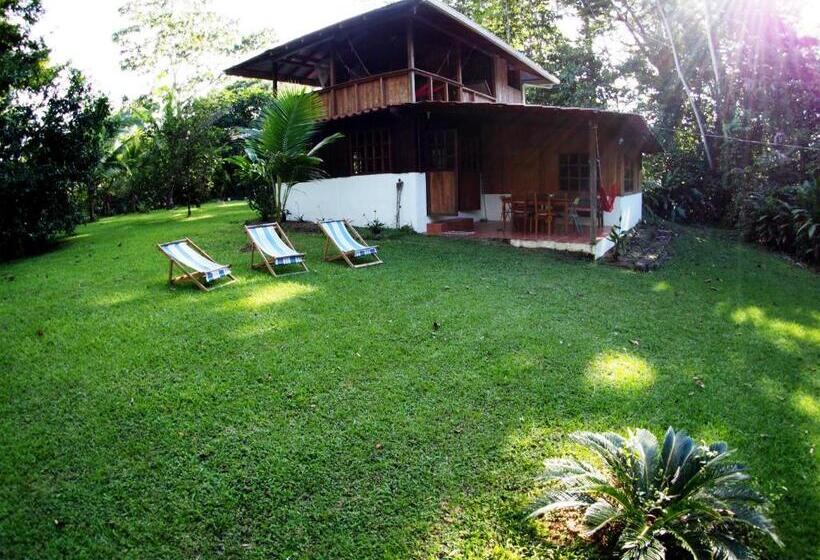 ユースホステル Corcovado Guest House