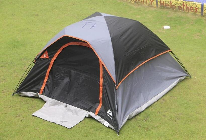 فندق صغير Rocking J's