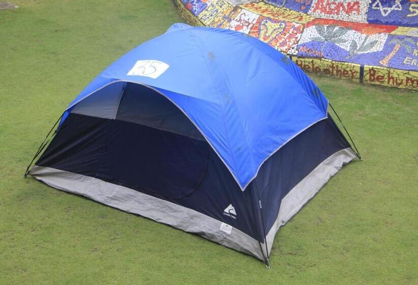 فندق صغير Rocking J's