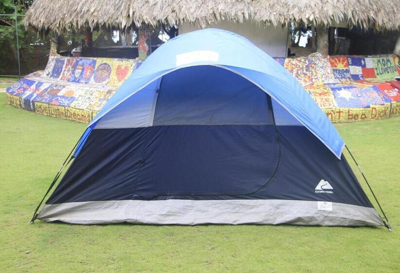 فندق صغير Rocking J's