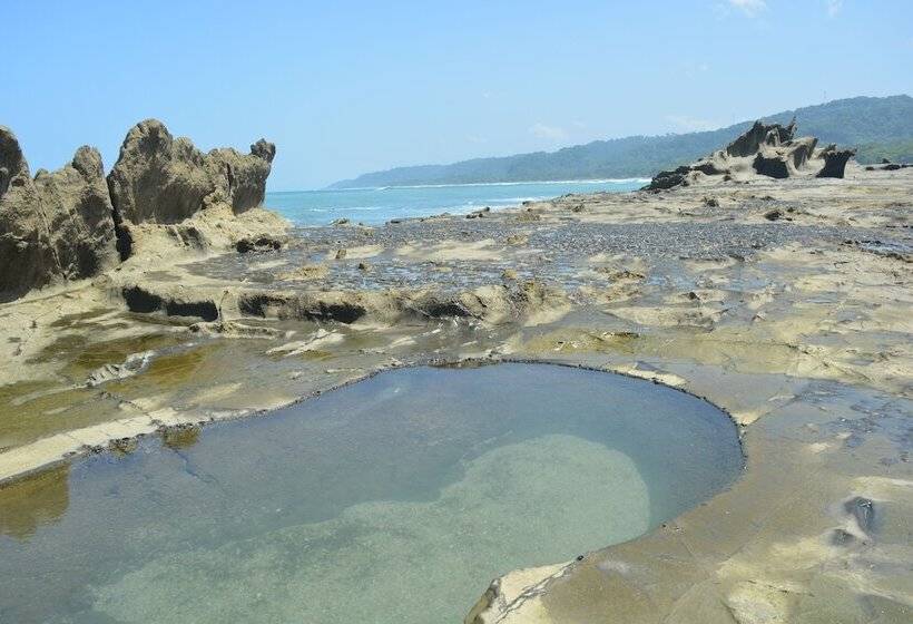 Bed and Breakfast Indigo Yoga Surf Resort