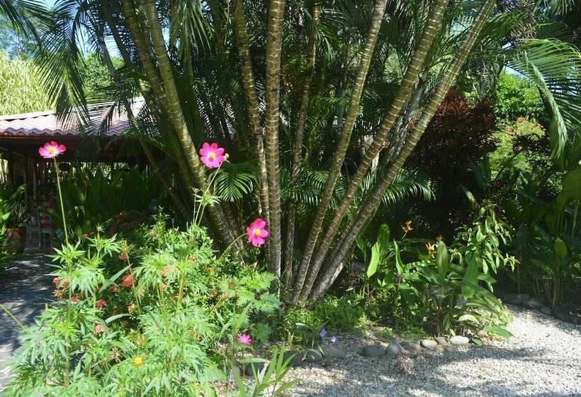 Bed and Breakfast Indigo Yoga Surf Resort