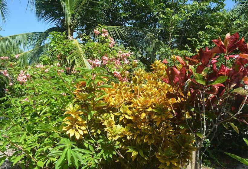 Bed and Breakfast Indigo Yoga Surf Resort