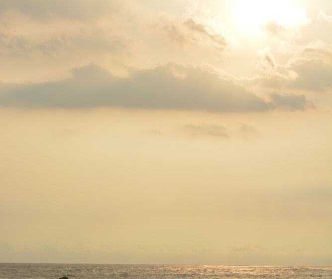 Bed and Breakfast Indigo Yoga Surf Resort